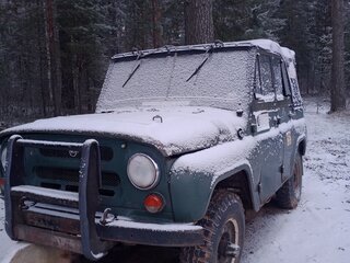 2002 УАЗ 31601, зелёный, 120000 рублей, вид 1