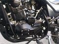 2023 Racer Panther, зелёный, 129000 рублей - вид 5