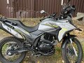 2025 Ataki Carrera, серый - вид 5