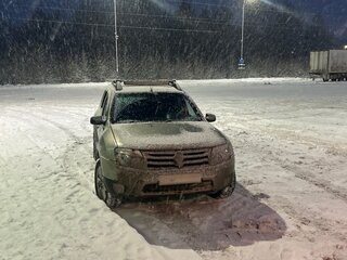 2012 Renault Duster I, бежевый, 744444 рублей, вид 2