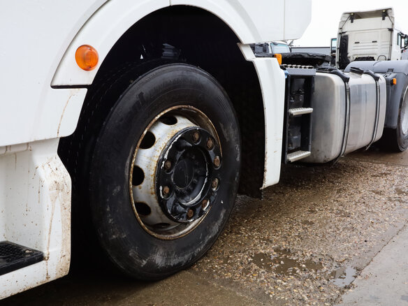 2022 MAN TGX, белый, 8800000 рублей - вид 17