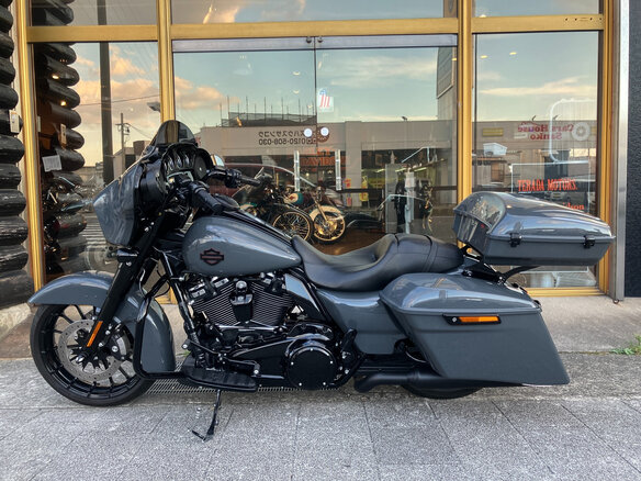 2018 Harley-Davidson Street Glide, серый, 1730000 рублей - вид 1