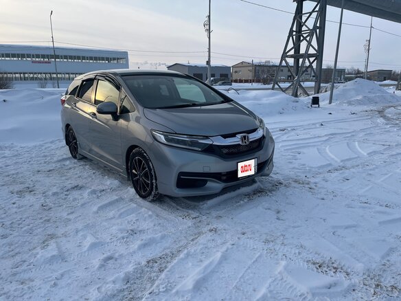 2016 Honda Shuttle II, серый, 1575000 рублей - вид 4
