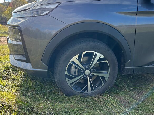 2023 JAC JS6, серый, 1950000 рублей - вид 14