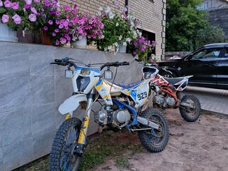 2024 Kayo Basic TT125, оранжевый, 59999 рублей, вид 5