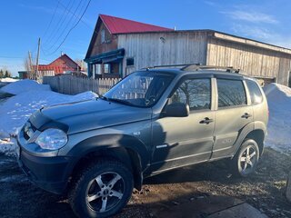 2013 Chevrolet Niva I Рестайлинг, серый, 450000 рублей, вид 1