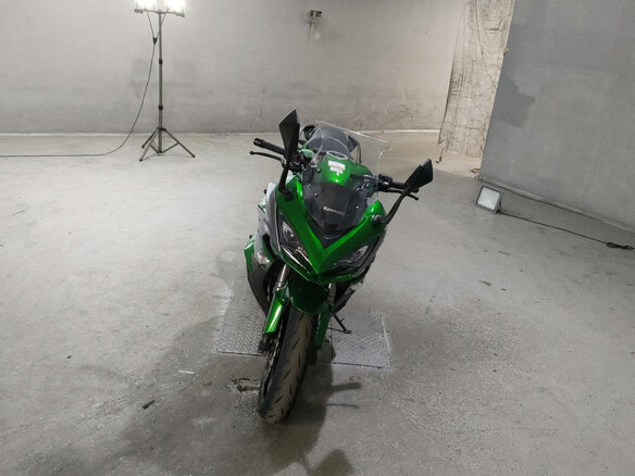 2019 Kawasaki Ninja 1000, зелёный, 980000 рублей - вид 2