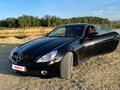 2009 Mercedes-Benz SLK-Класс 280 II (R171) Рестайлинг, чёрный, 2550000 рублей - вид 5