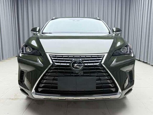 2021 Lexus NX 200 I Рестайлинг, зелёный, 3290023 рублей - вид 5