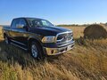 2018 Ram 1500 Crew Cab IV (DS/DJ), чёрный, 4950000 рублей - вид 5