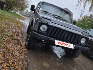 1995 Lada (ВАЗ) 2121 (4x4) I Рестайлинг, серый, 97000 рублей, вид 2
