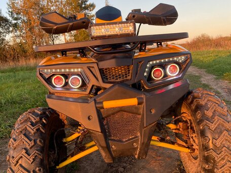 2026 Motoland Wild Track 200, жёлтый, 185000 рублей, вид 2