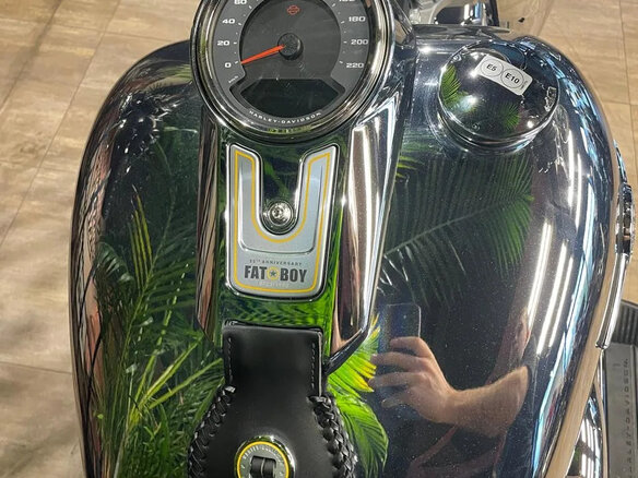 2025 Harley-Davidson Fat Boy, серебристый, 6000000 рублей - вид 12