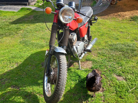 1982 Jawa 350/634, красный, 100000 рублей, вид 5