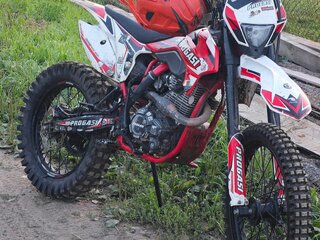2024 Progasi Super Max 300, красный, 110000 рублей, вид 2