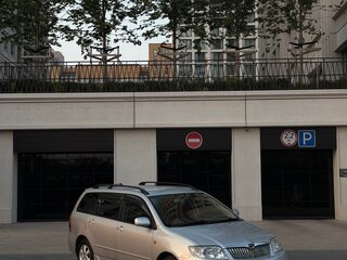 2005 Toyota Corolla Fielder IX (E120, E130) Рестайлинг, серый, 520000 рублей, вид 4