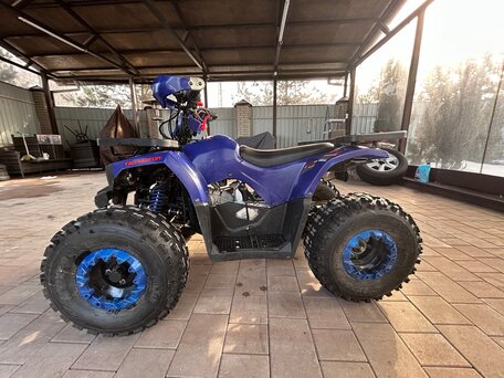 2022 Avantis Hunter Junior, синий, 89000 рублей, вид 4