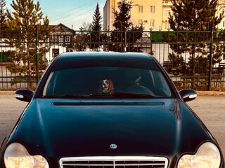 2003 Mercedes-Benz C-Класс 240 II (W203), синий, 670000 рублей, вид 3