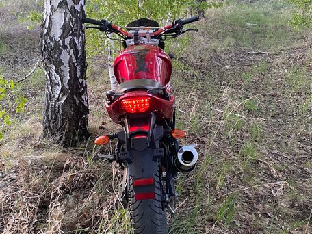 2014 Rokon Ranger, красный, 100000 рублей, вид 2