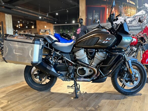 2021 Harley-Davidson Pan America, коричневый, 1750000 рублей - вид 11