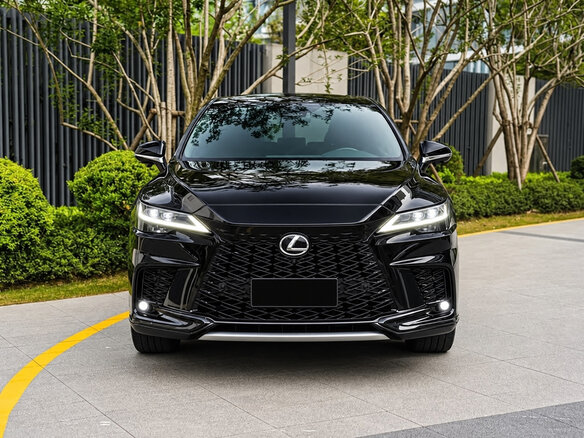 2025 Lexus RX 300 V, чёрный - вид 8