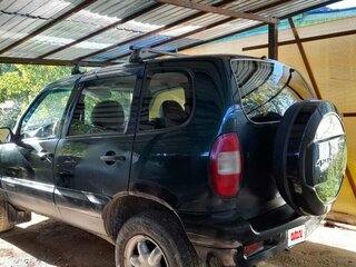 2004 Chevrolet Niva I, зелёный, 320000 рублей, вид 3