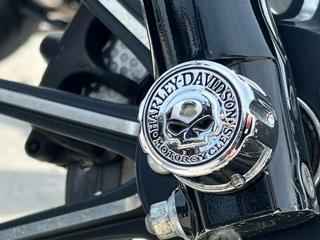 2015 Harley-Davidson Sportster 883, серебристый, 720000 рублей, вид 2