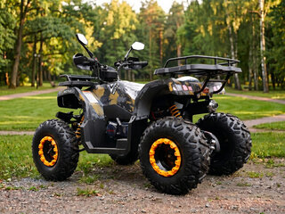 2026 Motax Grizlik 200, серый, 160300 рублей, вид 3