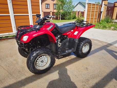 2008 Suzuki Ozark 250, красный, 219000 рублей, вид 1