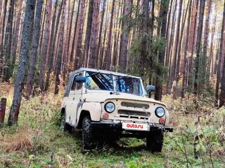 1992 УАЗ 31512, бежевый, 250000 рублей, вид 1