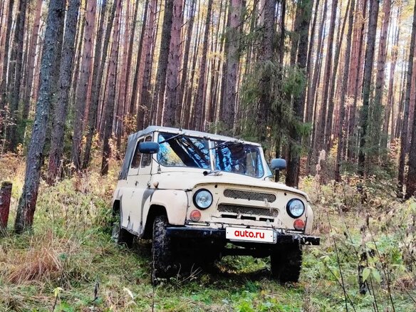 1992 УАЗ 31512, бежевый, 250000 рублей