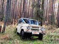 1992 УАЗ 31512, бежевый, 250000 рублей