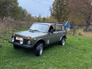 2002 Lada (ВАЗ) 2131 (4x4) I, серый, 120000 рублей, вид 1