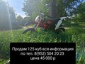 2015 ABM Scorpion 125, красный, 37000 рублей - вид 4