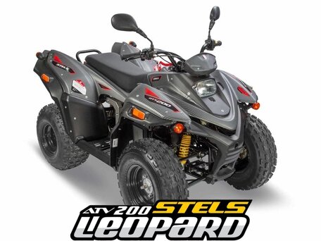 2026 Stels ATV-200 Леопард, серый, 305000 рублей, вид 1