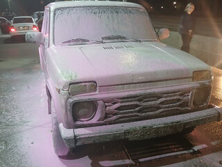 1996 Lada (ВАЗ) 2121 (4x4) I Рестайлинг, белый, 250000 рублей, вид 5