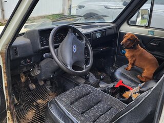 1995 Lada (ВАЗ) 2121 (4x4) I Рестайлинг, белый, 280000 рублей, вид 5