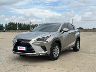 2018 Lexus NX 200 I Рестайлинг, серебристый, 2700404 рублей, вид 1