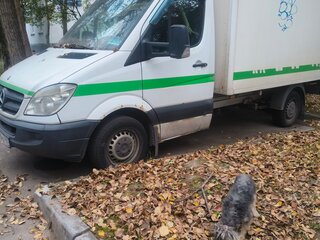 2008 Mercedes-Benz Sprinter, белый, 2250000 рублей, вид 5