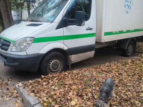 2008 Mercedes-Benz Sprinter, белый, 2250000 рублей, вид 5