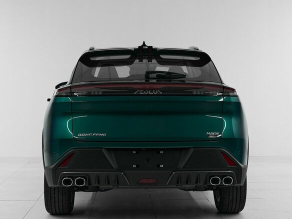 2024 Dongfeng Mage, зелёный, 2850000 рублей - вид 4