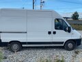 2010 Fiat Professional Ducato, белый, 950000 рублей - вид 4
