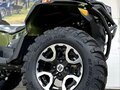 2026 Stels ATV-800 Guepard Trophy, зелёный - вид 8