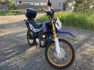 2020 Regulmoto SK 250GY-5, синий, 100000 рублей, вид 4