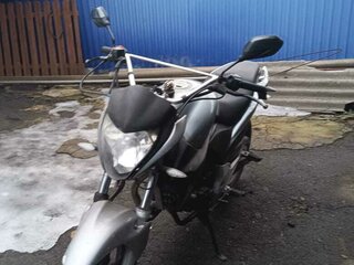 2013 Stels Flex 250, серый, 75000 рублей, вид 4