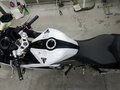 2024 Triumph Daytona 660, белый, 877000 рублей - вид 10
