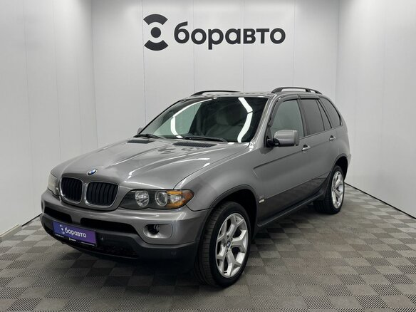 2004 BMW X5 3.0i I (E53) Рестайлинг, серый, 1170000 рублей