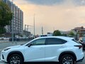 2020 Lexus NX 300 I Рестайлинг, белый, 3130000 рублей - вид 11