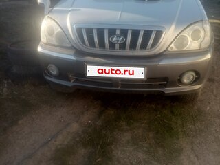 2002 Hyundai Terracan I, серый, 500000 рублей, вид 2