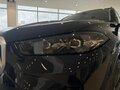 2026 BMW X5 Long 30Li IV (G05/G18) Рестайлинг, чёрный, 10000000 рублей - вид 6